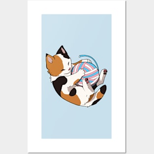 Transgender Pride Calico Cat Posters and Art